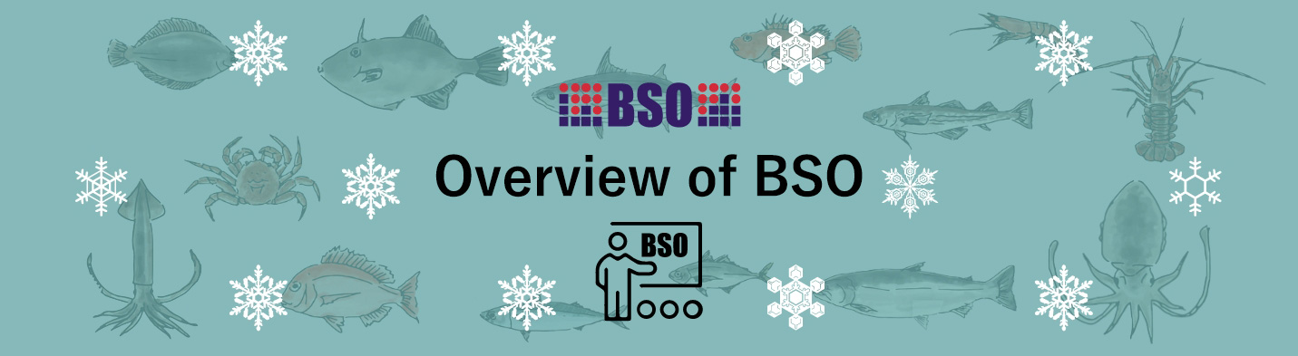 overview of BSO